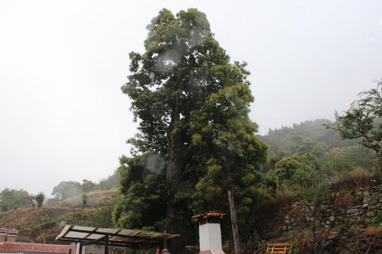 Finca El Cole Villa Las Palmas de Gran Canaria Ngoại thất bức ảnh