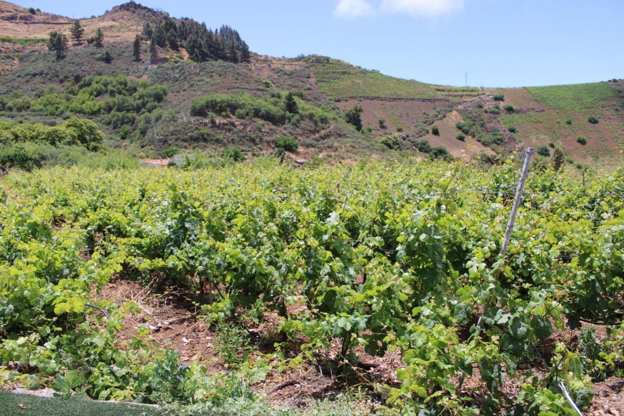 Finca El Cole Villa Las Palmas de Gran Canaria Ngoại thất bức ảnh