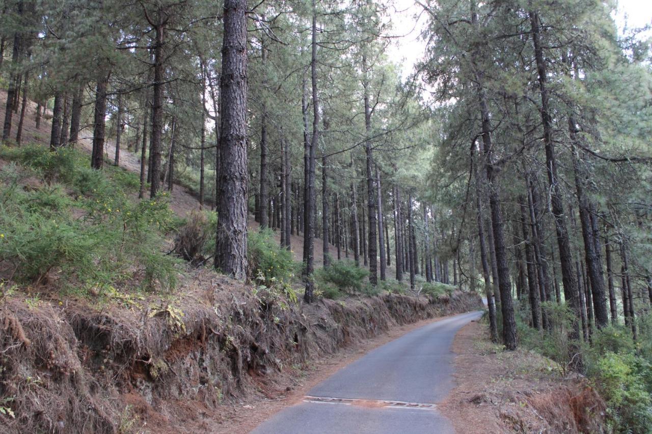 Finca El Cole Villa Las Palmas de Gran Canaria Ngoại thất bức ảnh