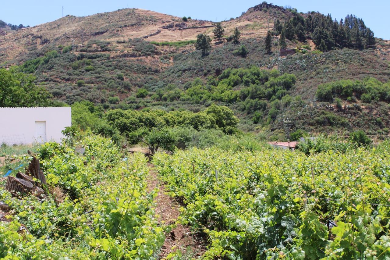 Finca El Cole Villa Las Palmas de Gran Canaria Ngoại thất bức ảnh