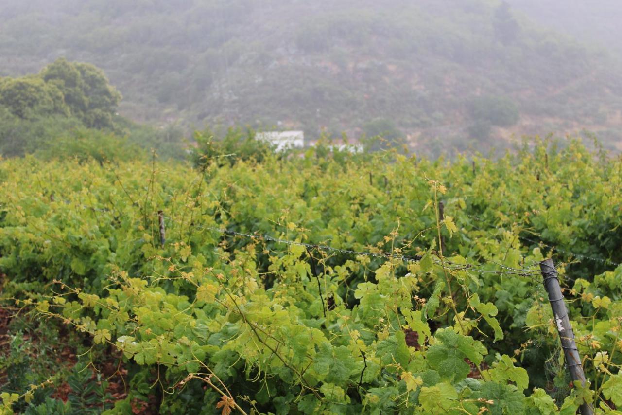 Finca El Cole Villa Las Palmas de Gran Canaria Ngoại thất bức ảnh