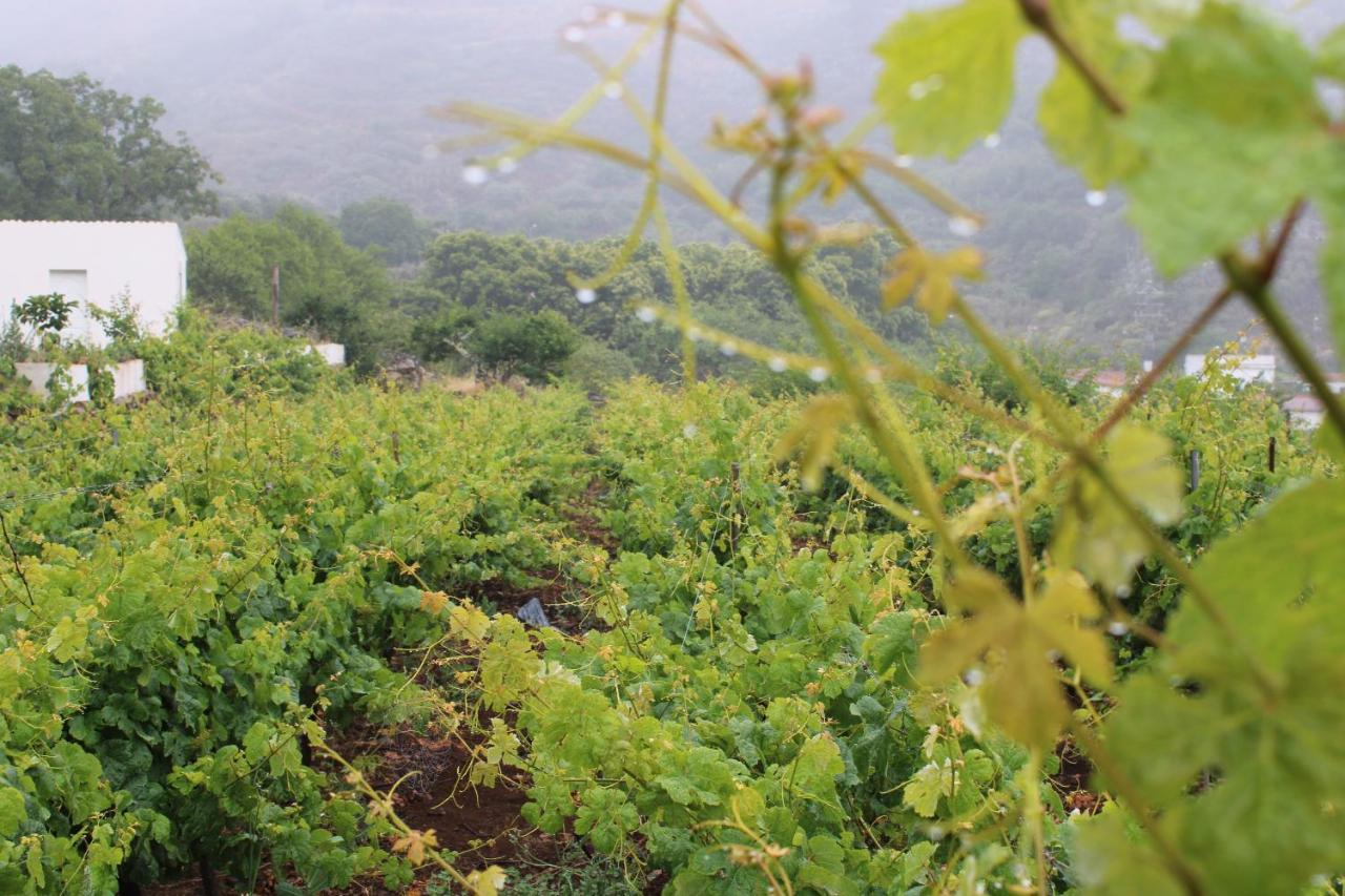 Finca El Cole Villa Las Palmas de Gran Canaria Ngoại thất bức ảnh