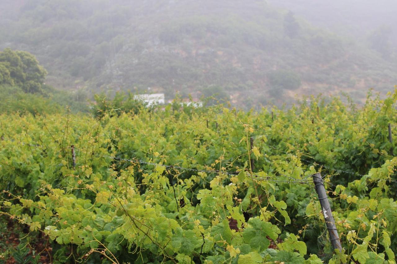 Finca El Cole Villa Las Palmas de Gran Canaria Ngoại thất bức ảnh