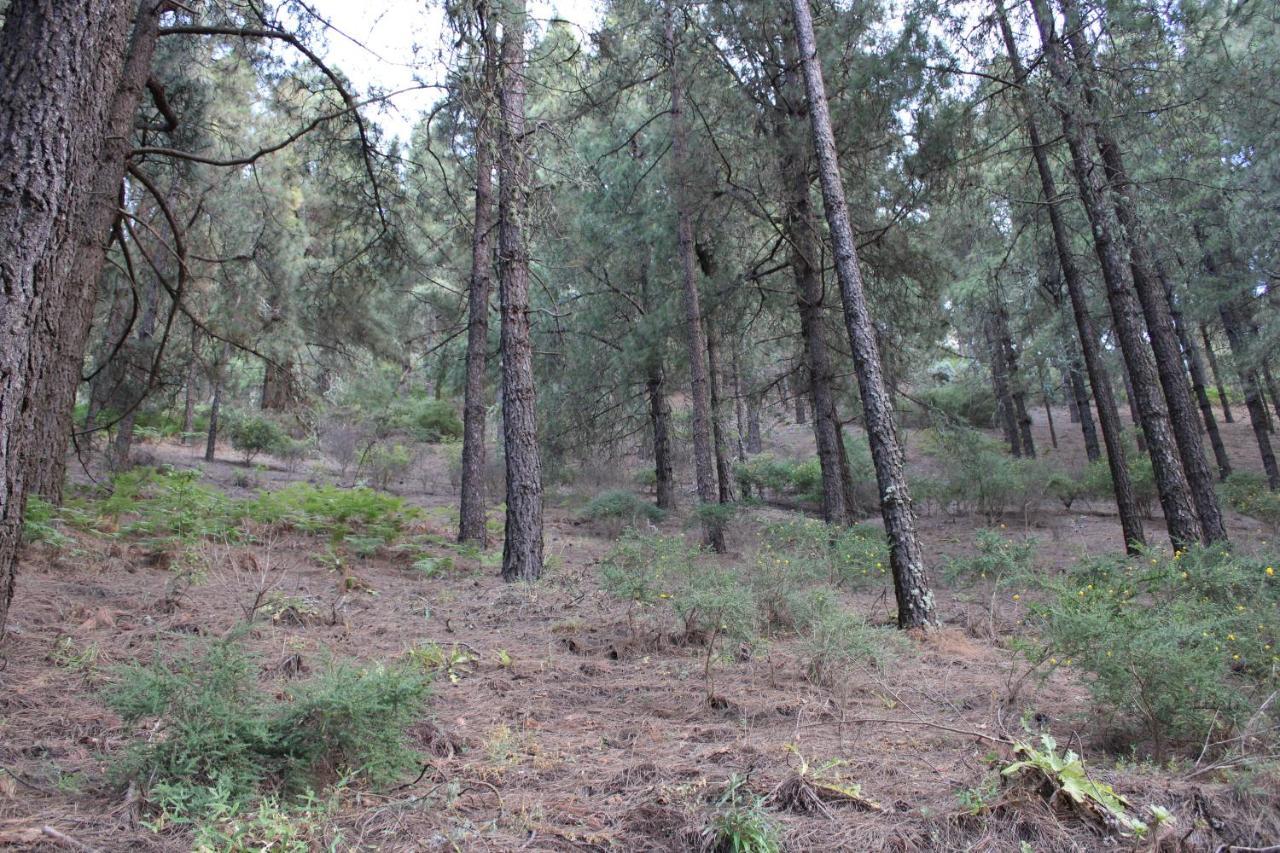 Finca El Cole Villa Las Palmas de Gran Canaria Ngoại thất bức ảnh