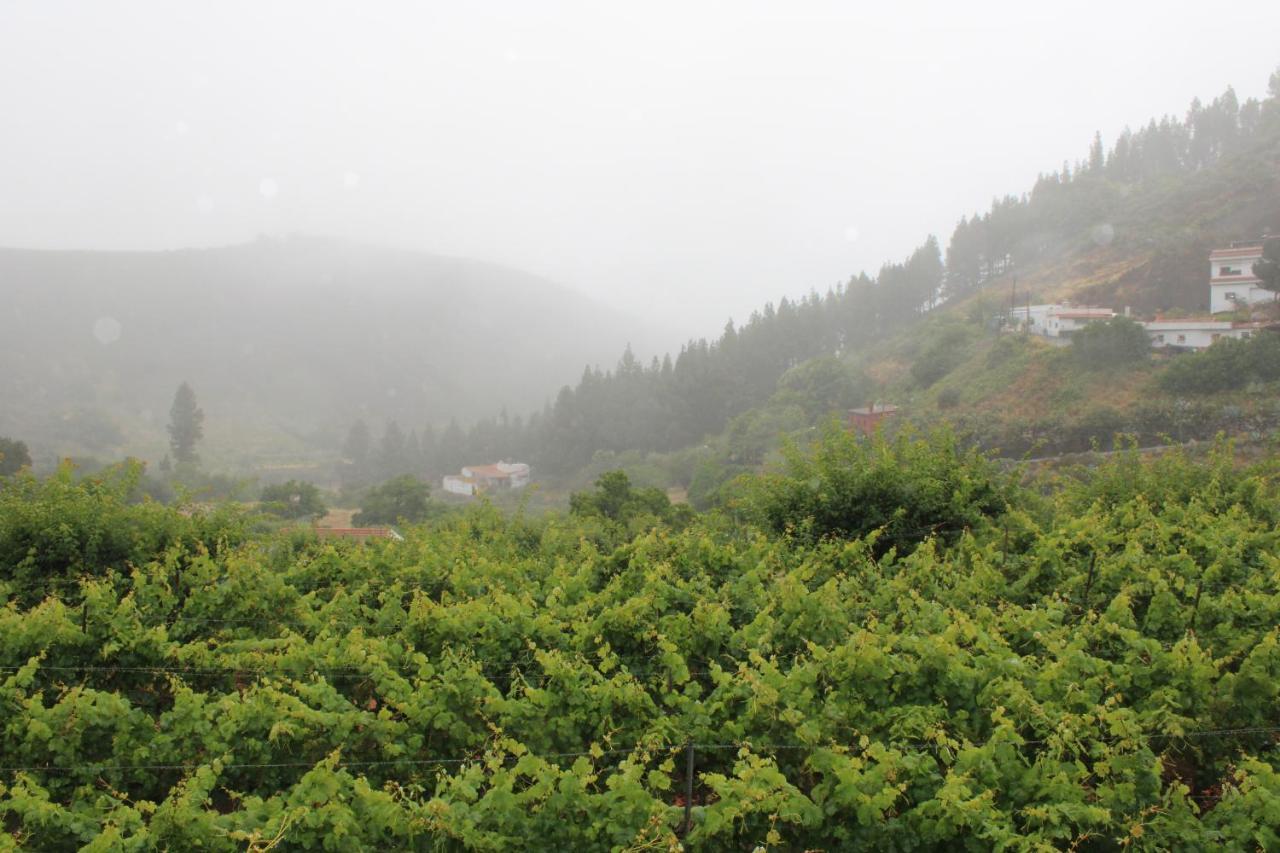 Finca El Cole Villa Las Palmas de Gran Canaria Ngoại thất bức ảnh